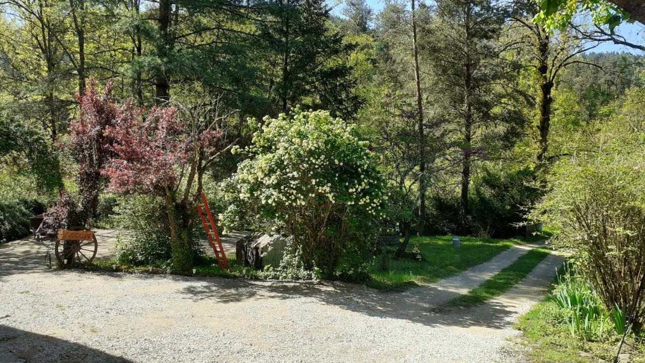 Au Fil De L Ance Bed and Breakfast Beauzac Εξωτερικό φωτογραφία
